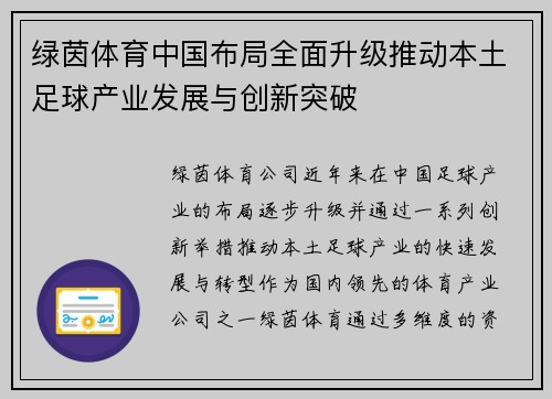 绿茵体育中国布局全面升级推动本土足球产业发展与创新突破